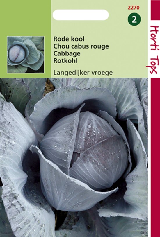 Rode kool Langedijker vroege - Brassica oleracea